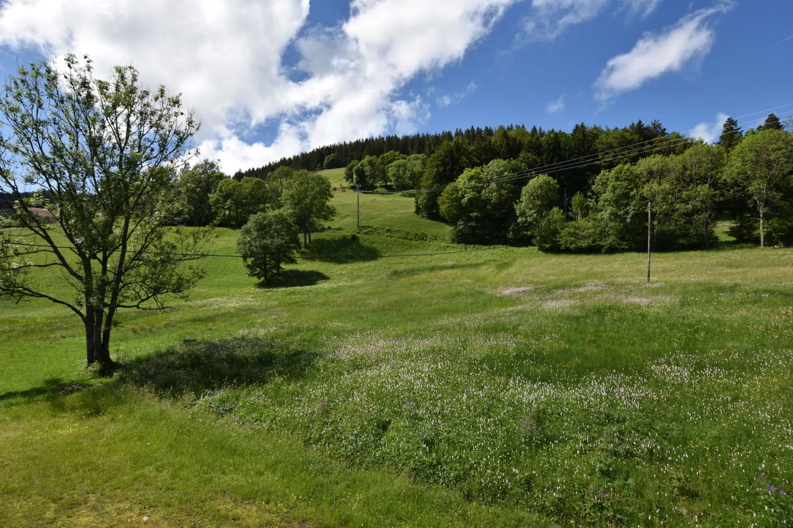 La Bergerie-View in summer