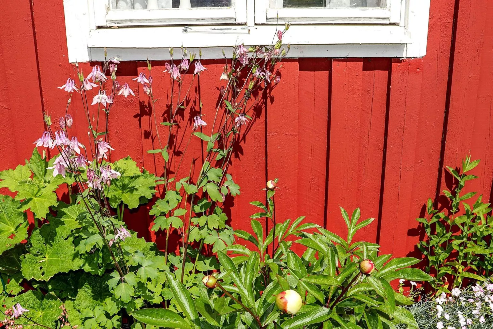 6 person holiday home in Slöinge-Outdoor