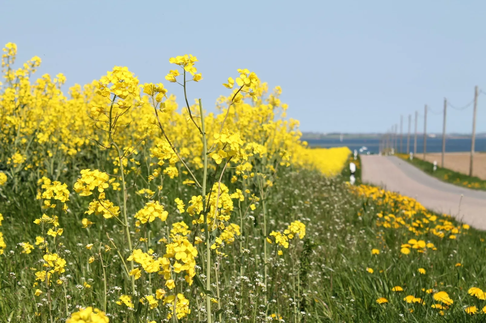 Zierow Z4A-Areas summer 5km
