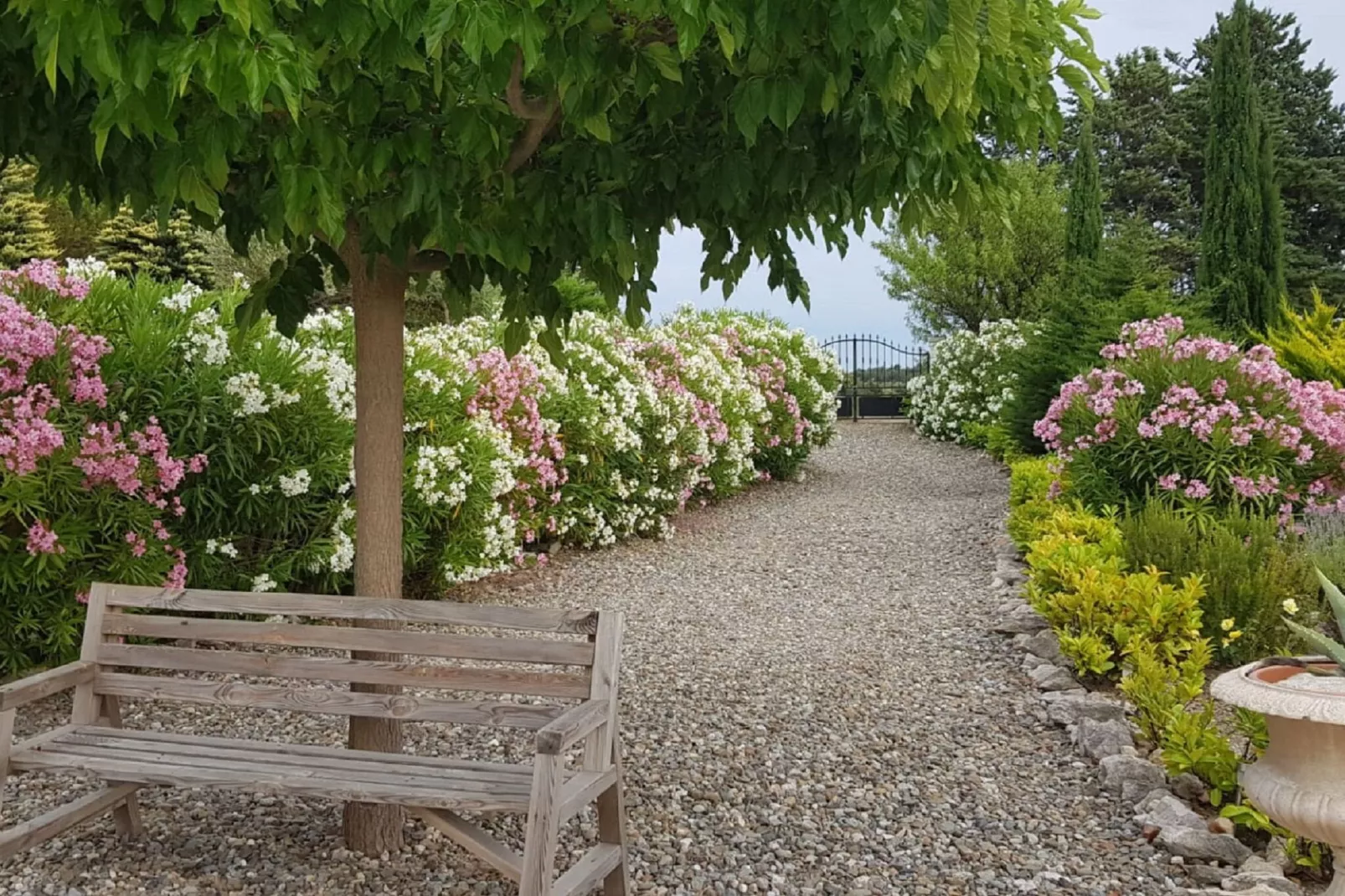 Villa à Camplong-Jardin d'été