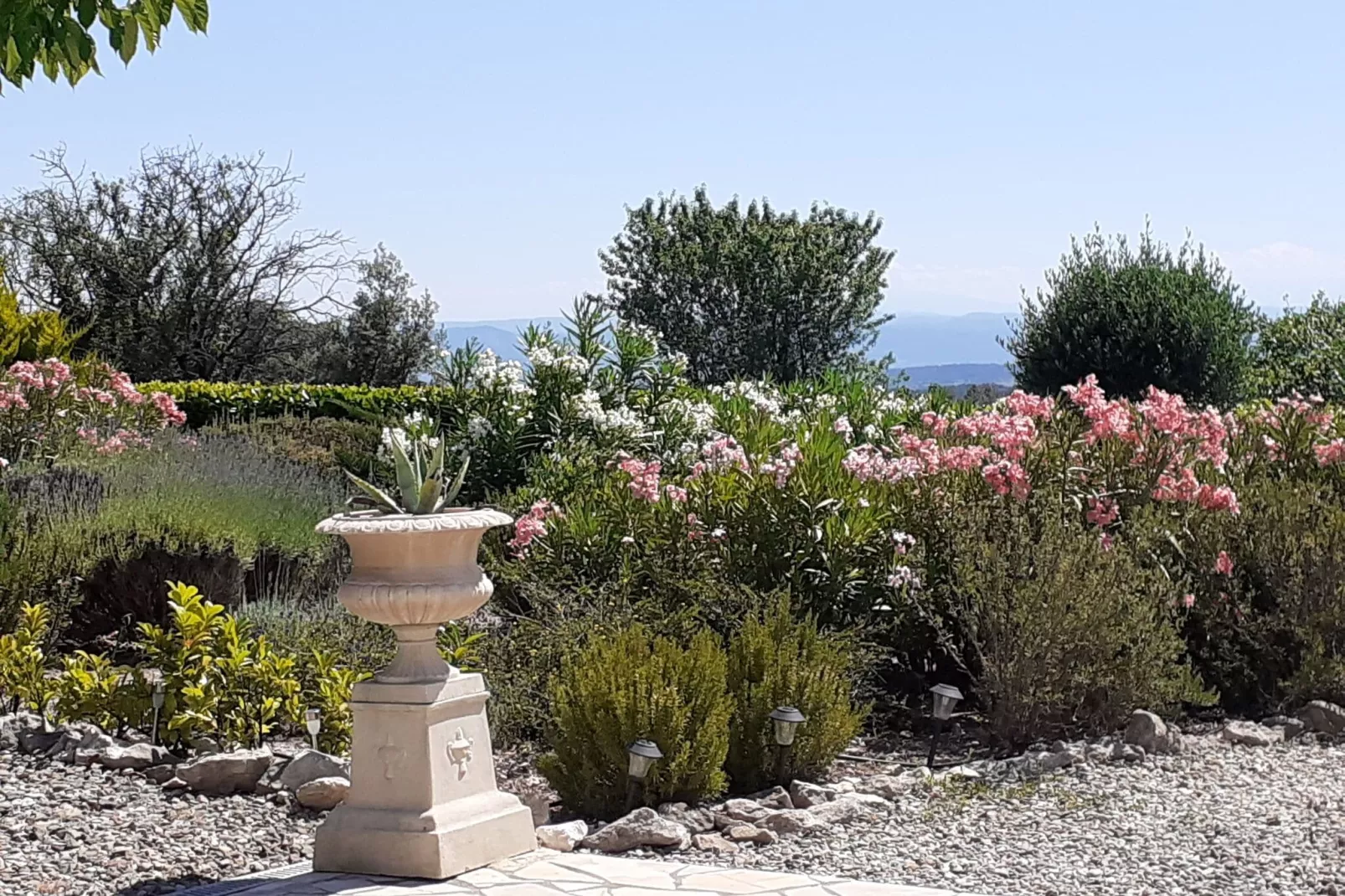 Villa à Camplong-Jardin d'été