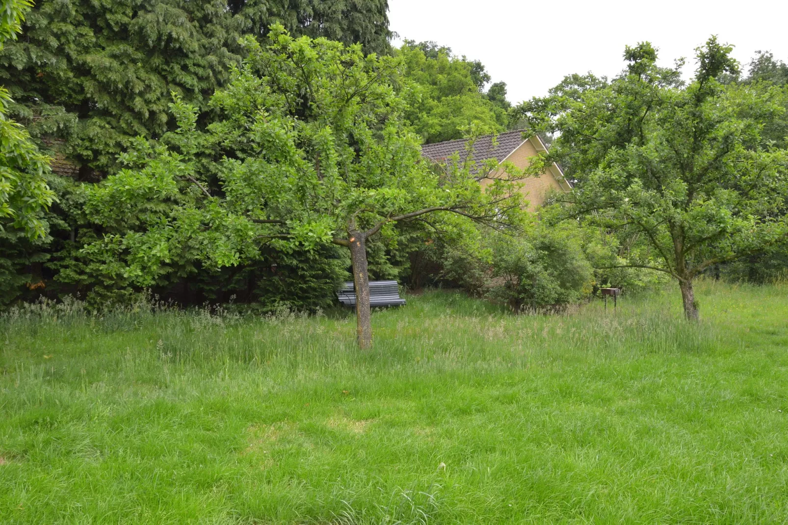 Huus in 't Hagt-Gardens summer