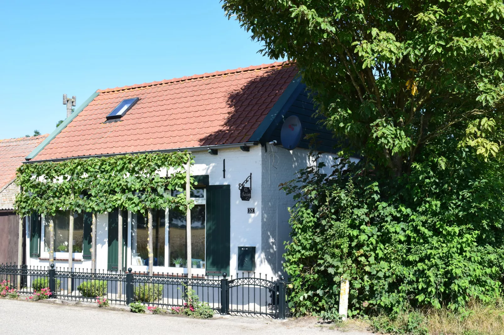 De Zeeschelp-Außenbereich Sommer