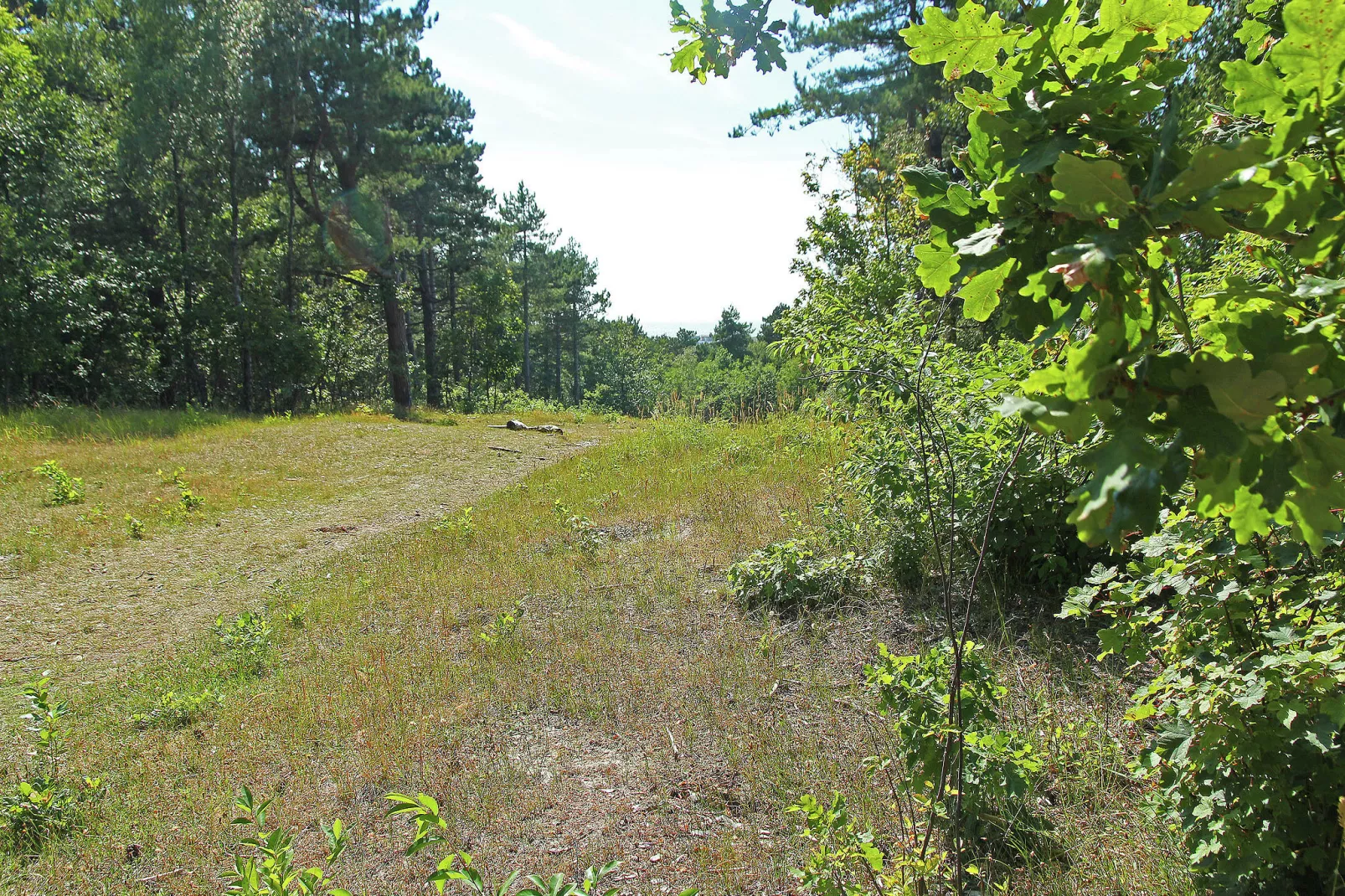 Huize Glory Citrien-Areas summer 5km