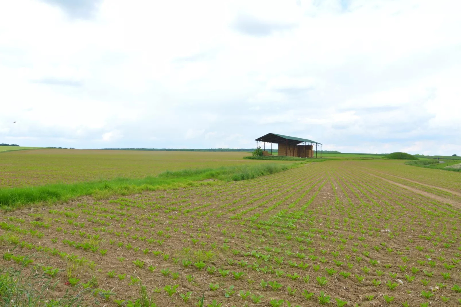La Ferme de Foy 24-Zones d'été à 5 km
