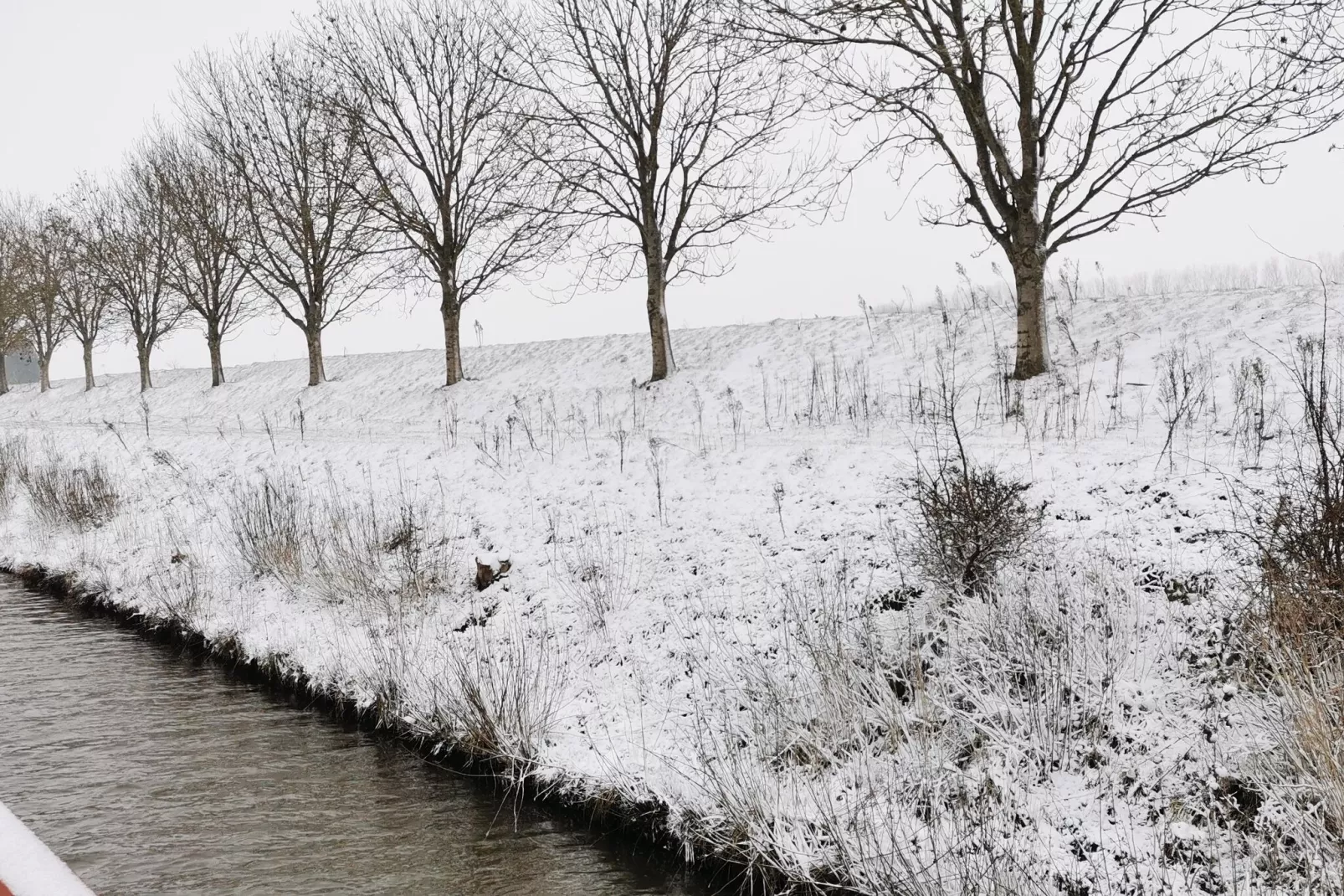 De Zeeschelp-Gebiet Winter 20 km