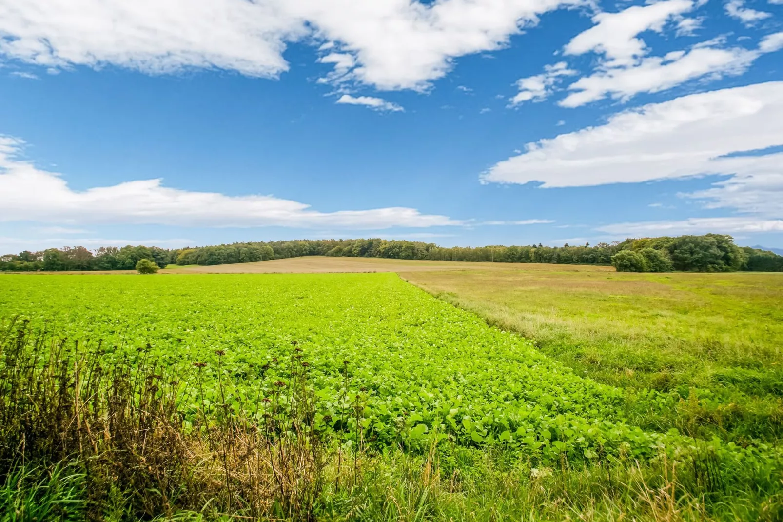 Hettenheuvel Montferland-Areas summer 1km