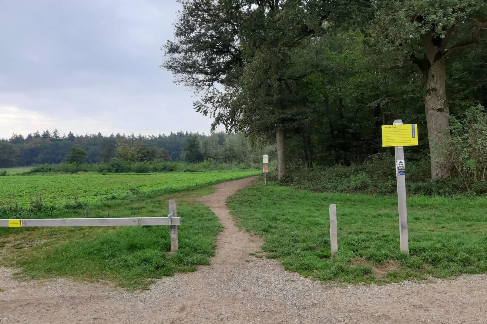 Hettenheuvel Montferland-Areas summer 5km