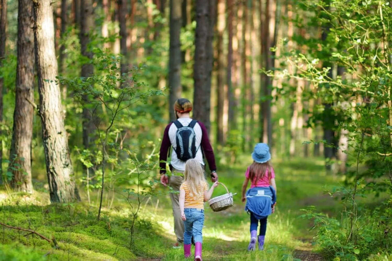 Premiumchalet bis 2 Pers-Gebiete Sommer 5 km