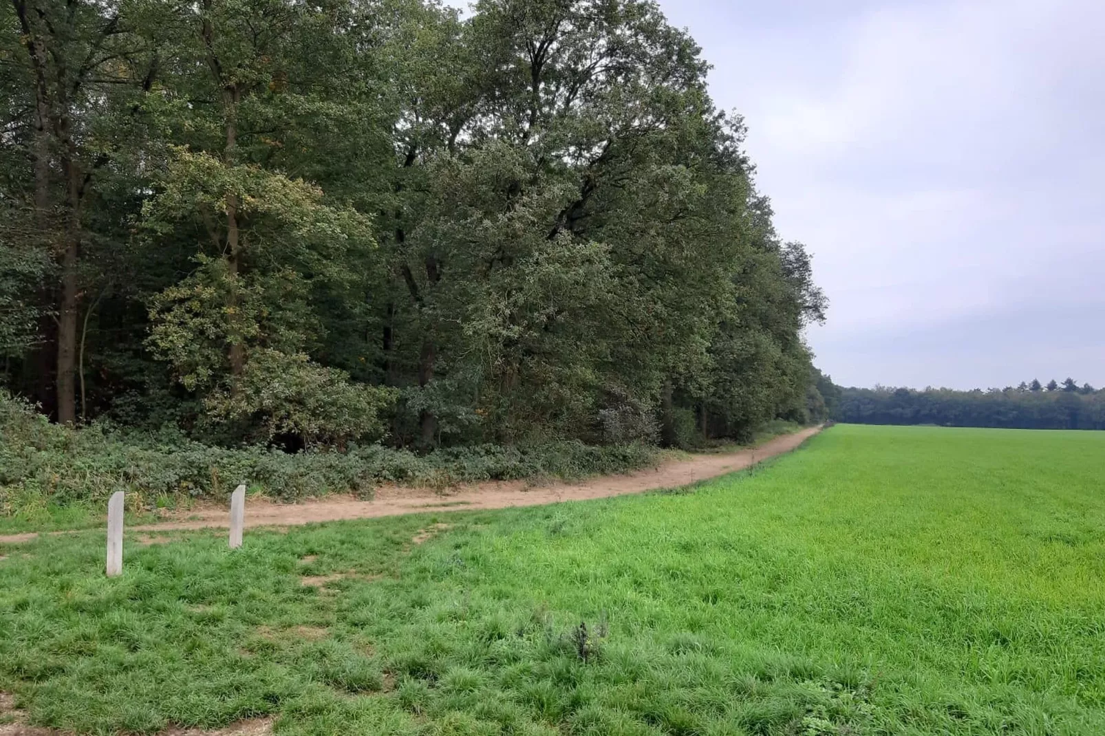 Hettenheuvel Montferland-Areas summer 5km