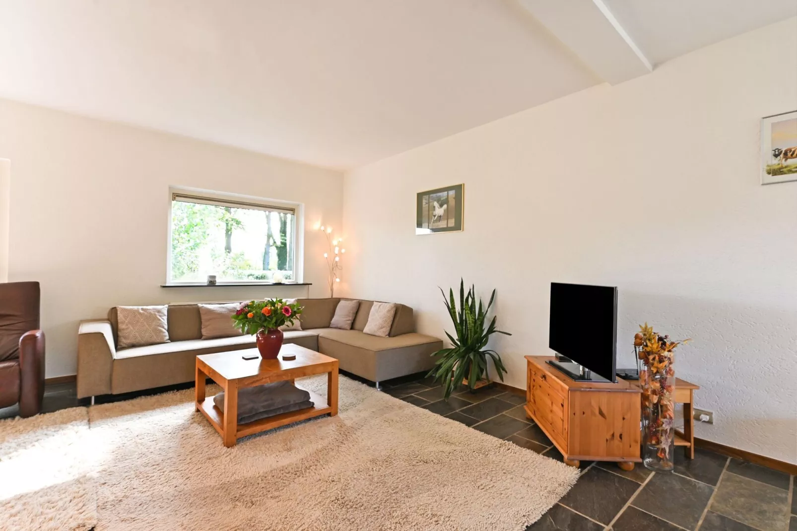 De Liemers-Living room