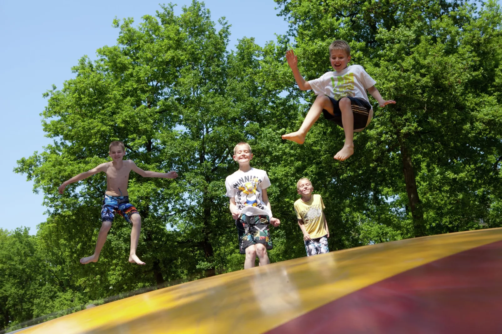 Vakantiepark de Vossenburcht 4-Park facilities
