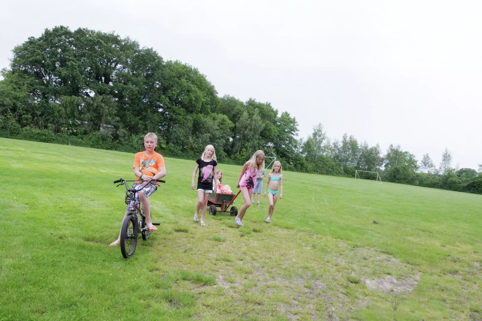 Vakantiepark de Vossenburcht 4-Areas summer 1km