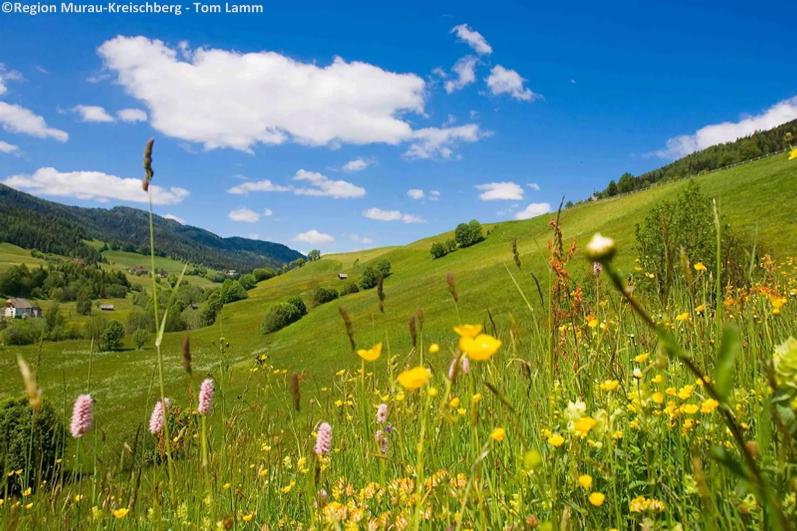 Chalet Baier-Areas summer 5km