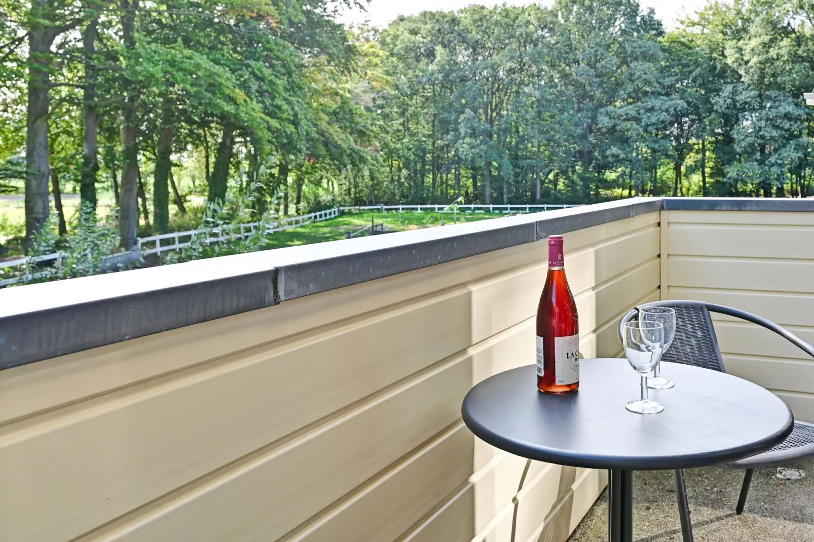 De Liemers-Terrace balcony