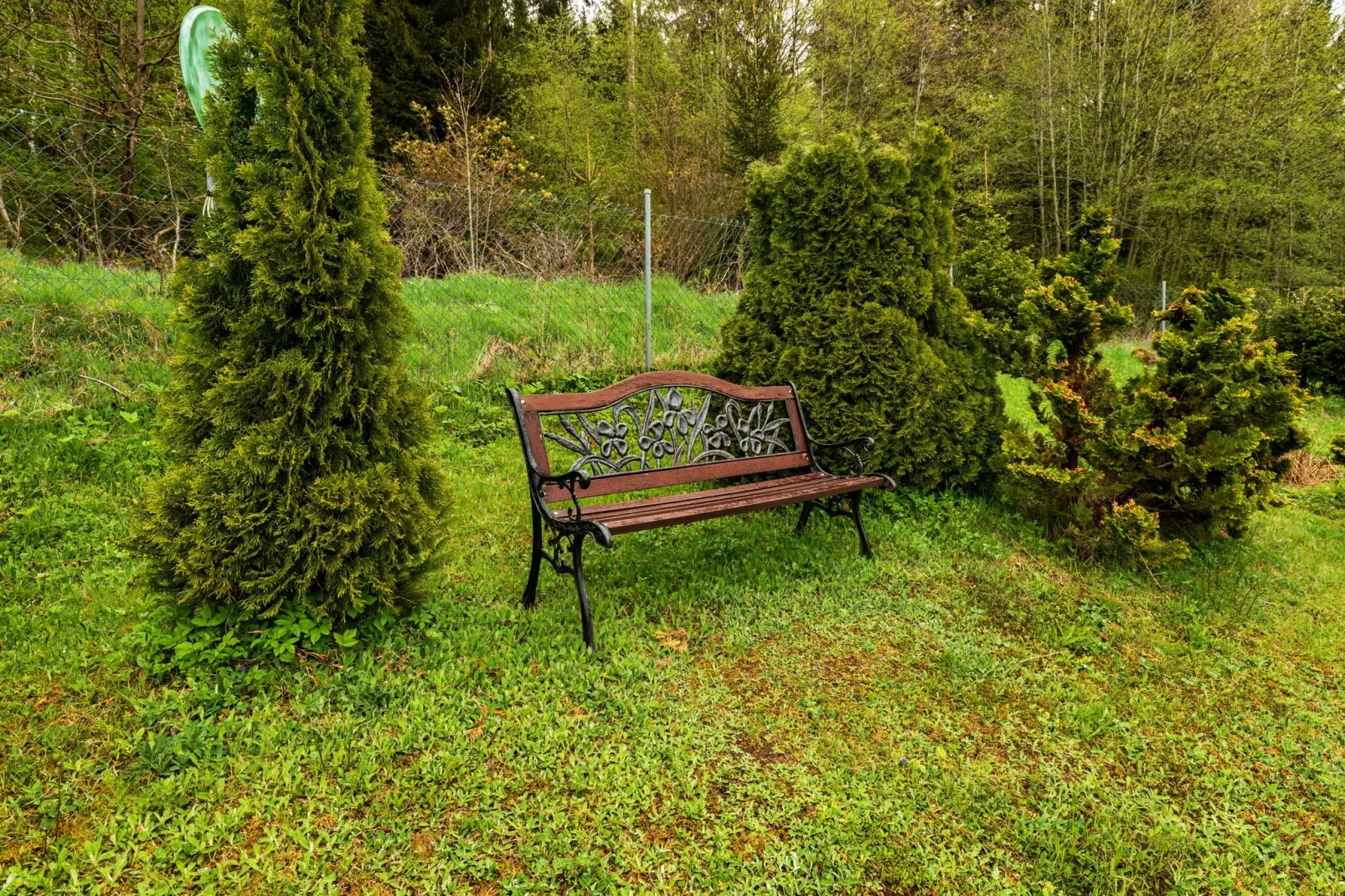 Ferienhaus Steinbach-Hallenberg-Jardin d'été