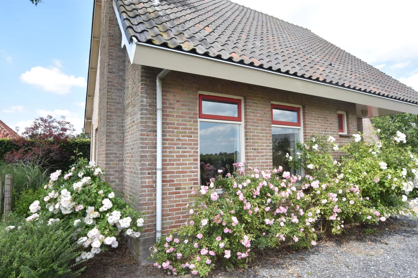 De Biezenknop-Exterior summer