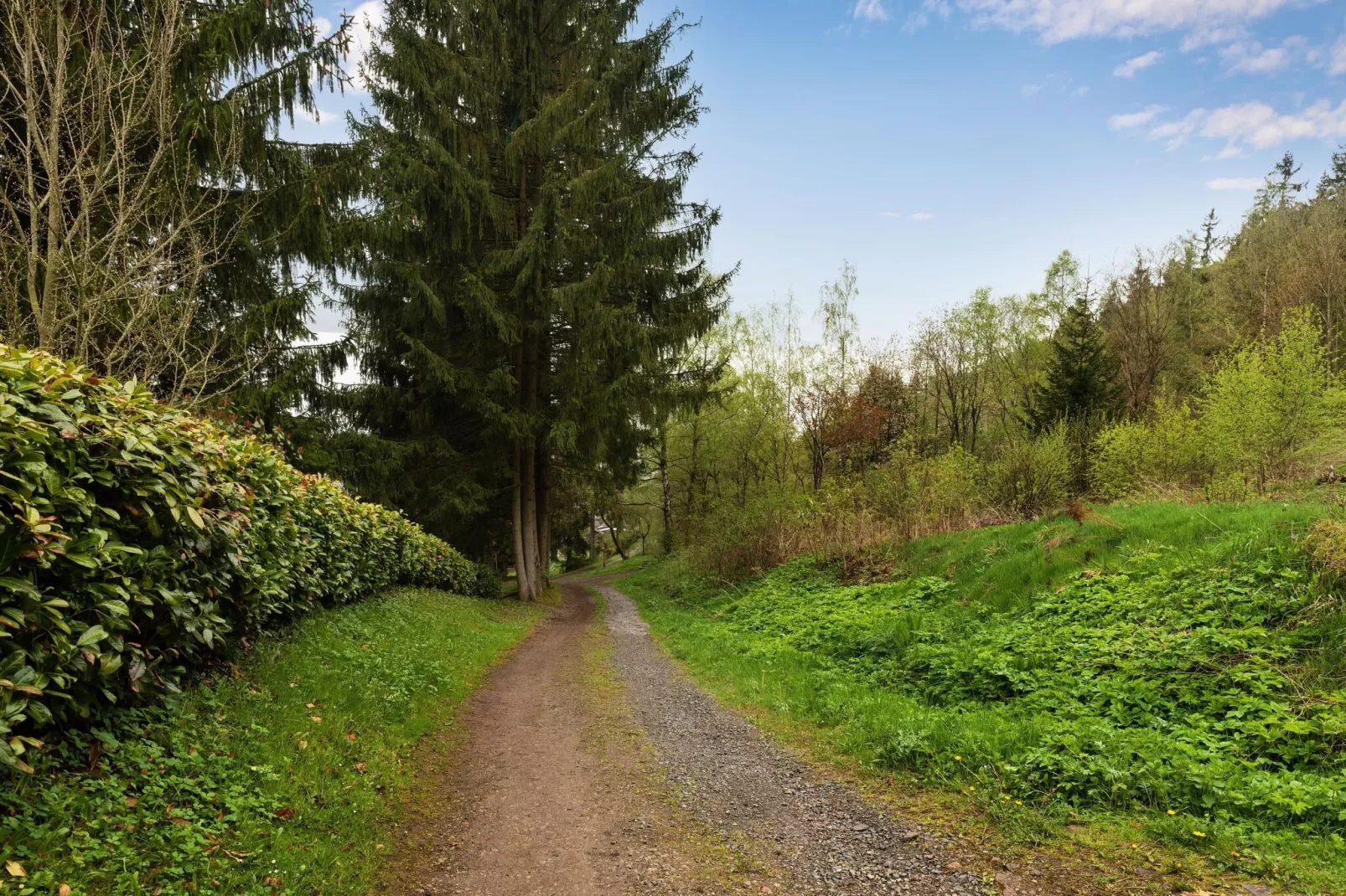 Ferienhaus Steinbach-Hallenberg-Zones d'été à 1 km