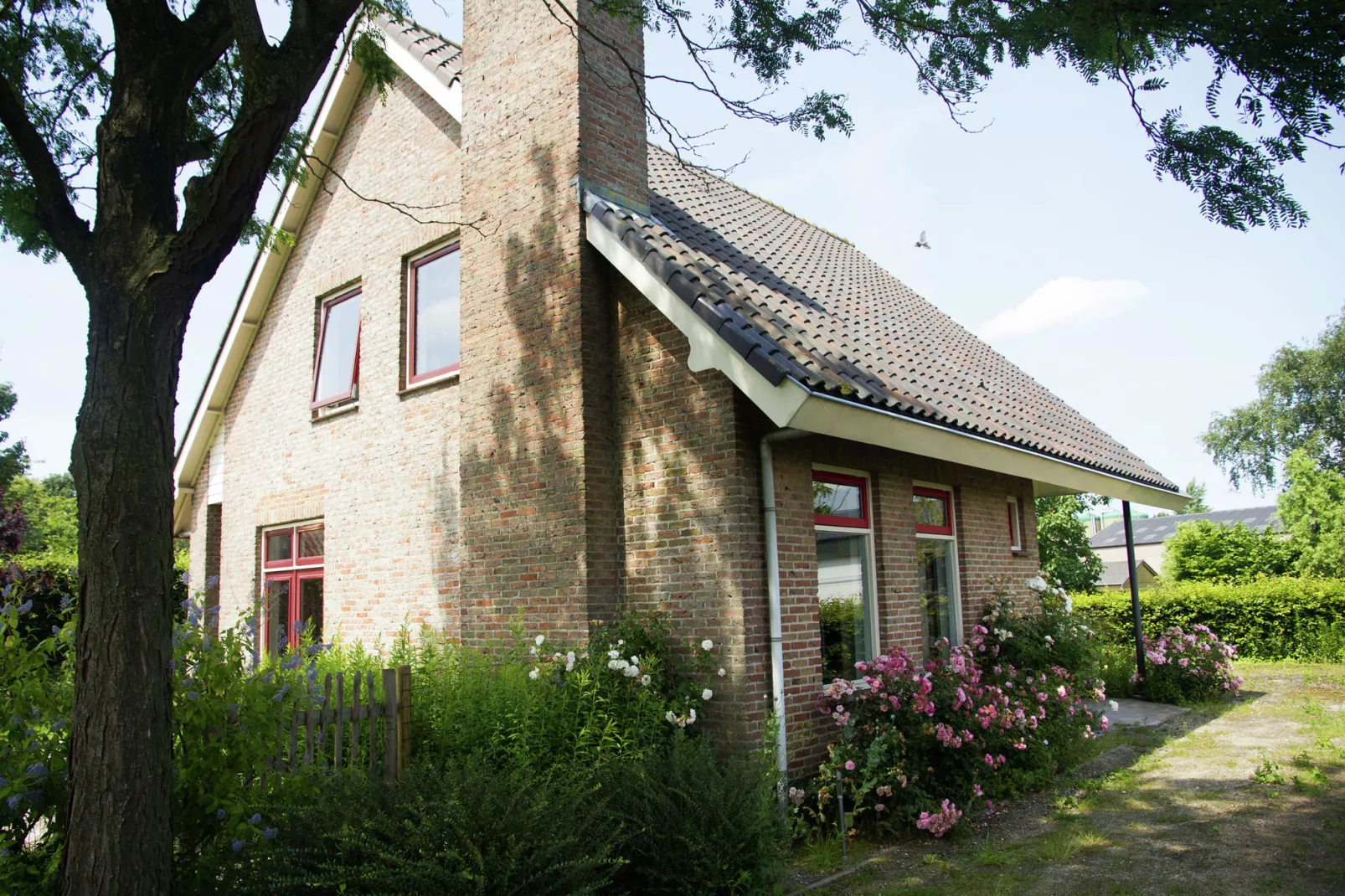 De Biezenknop-Gardens summer