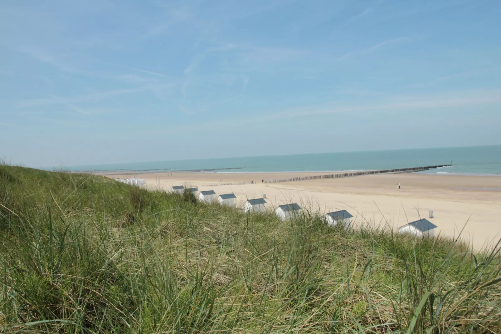 De Biezenknop-Areas summer 20km