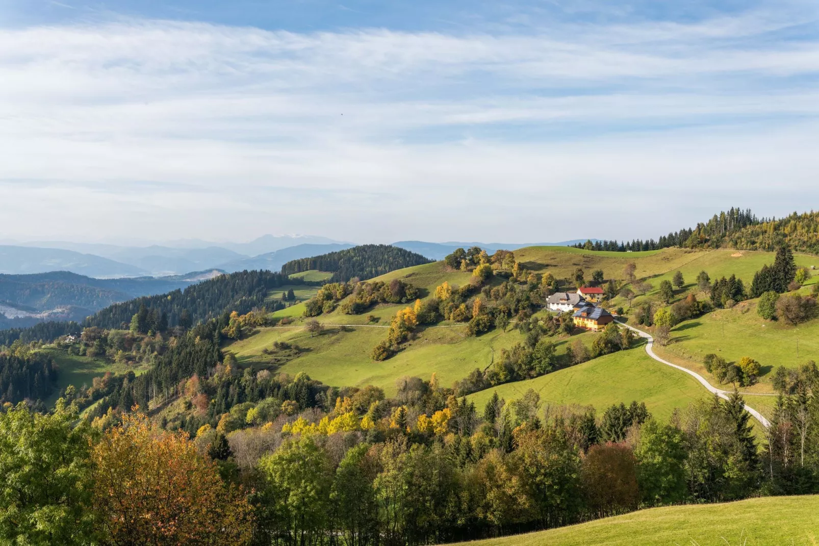Traunig Hütte-View summer