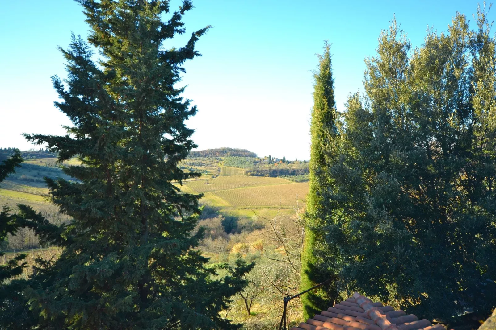 Il Camino-View summer