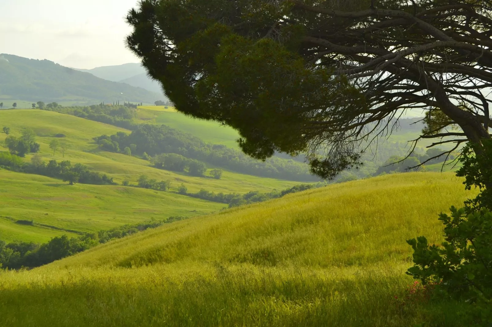 Il Camino-Areas summer 20km