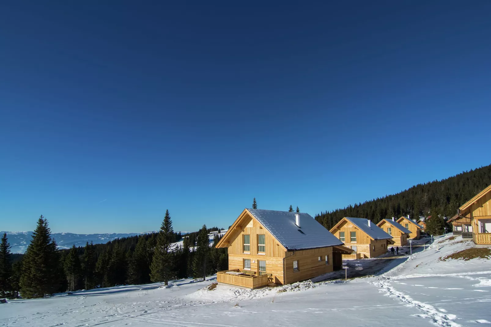 Almdorf Weinebene XL-Exterior winter