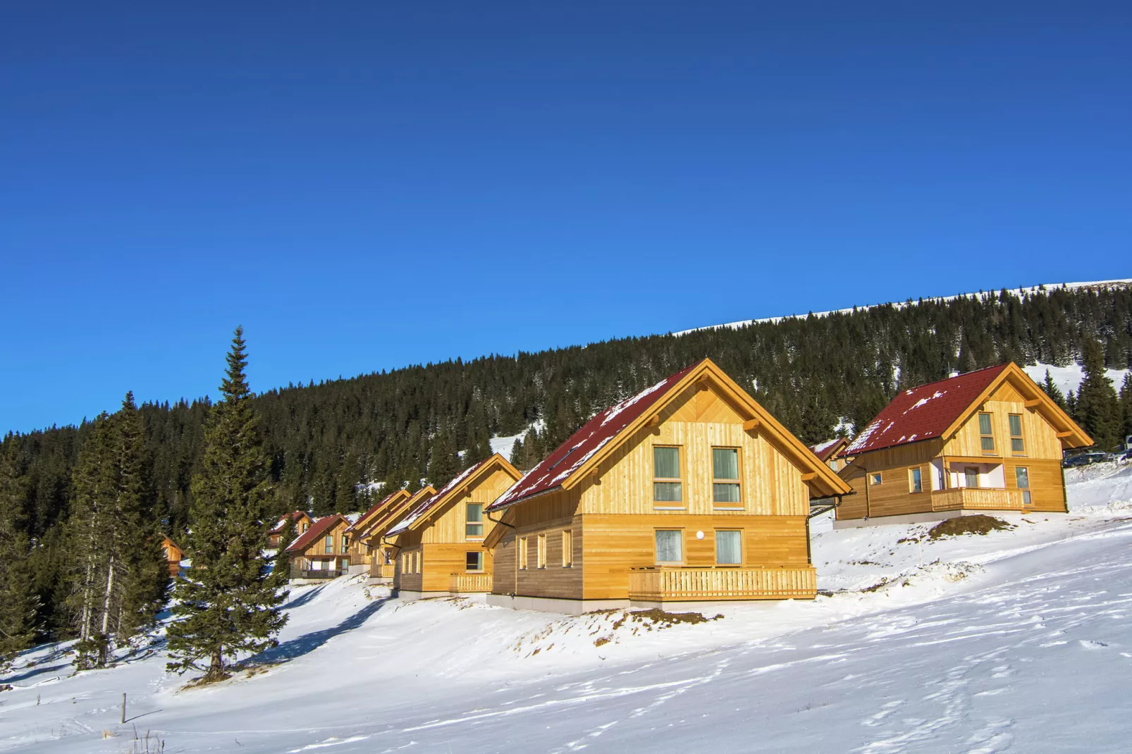 Almdorf Weinebene XL-Exterior winter