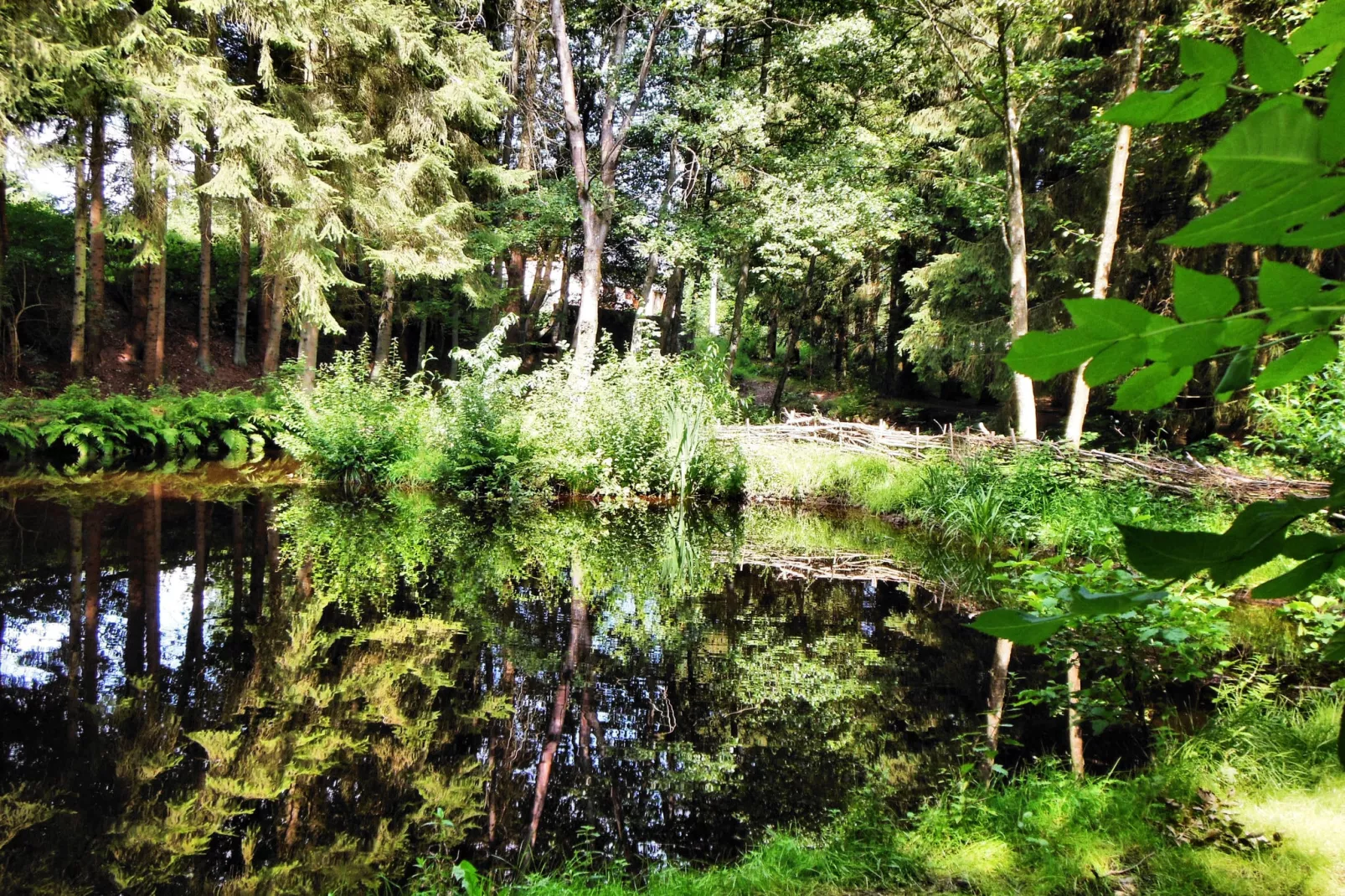 La Canne à Pêche-Gardens summer