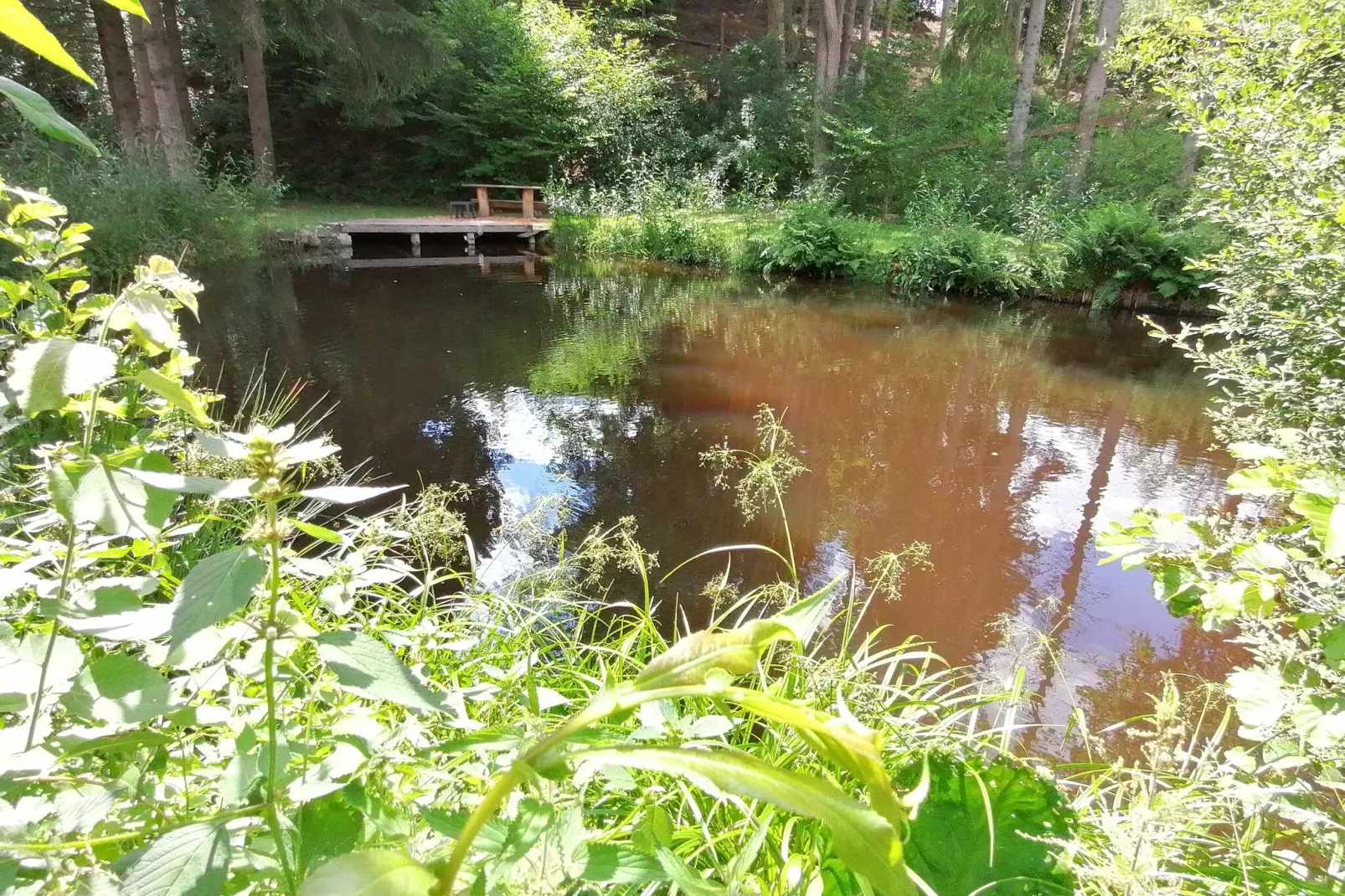 La Canne à Pêche-Facilities