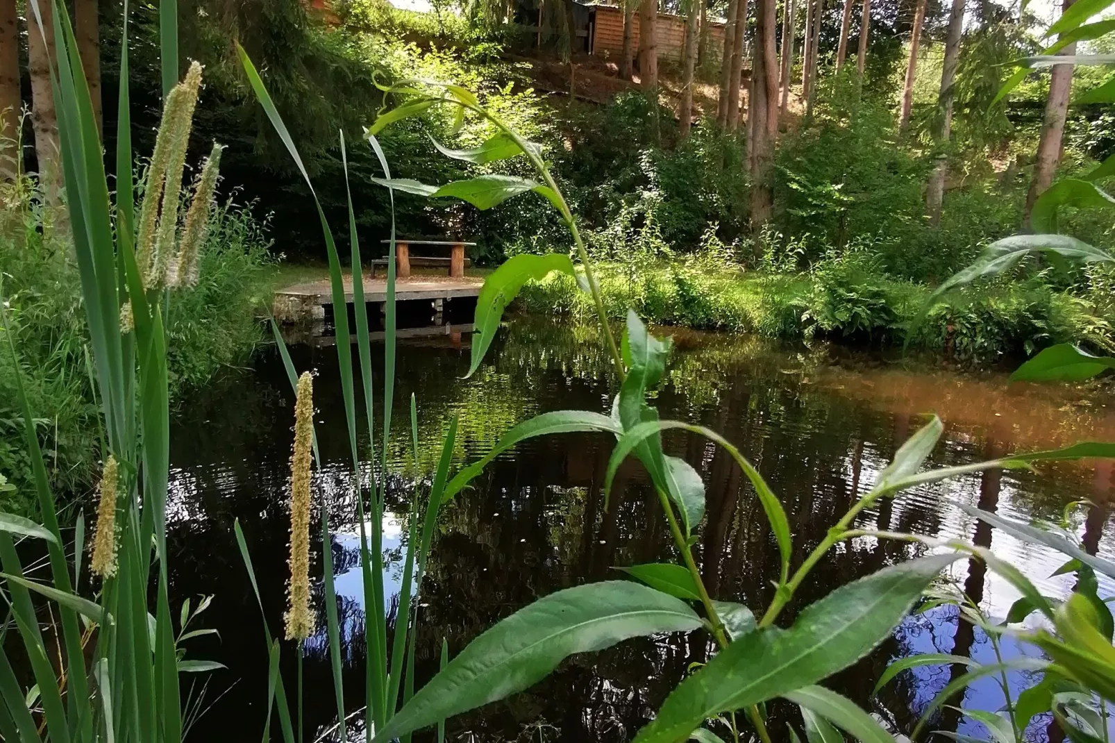 La Canne à Pêche-Facilities