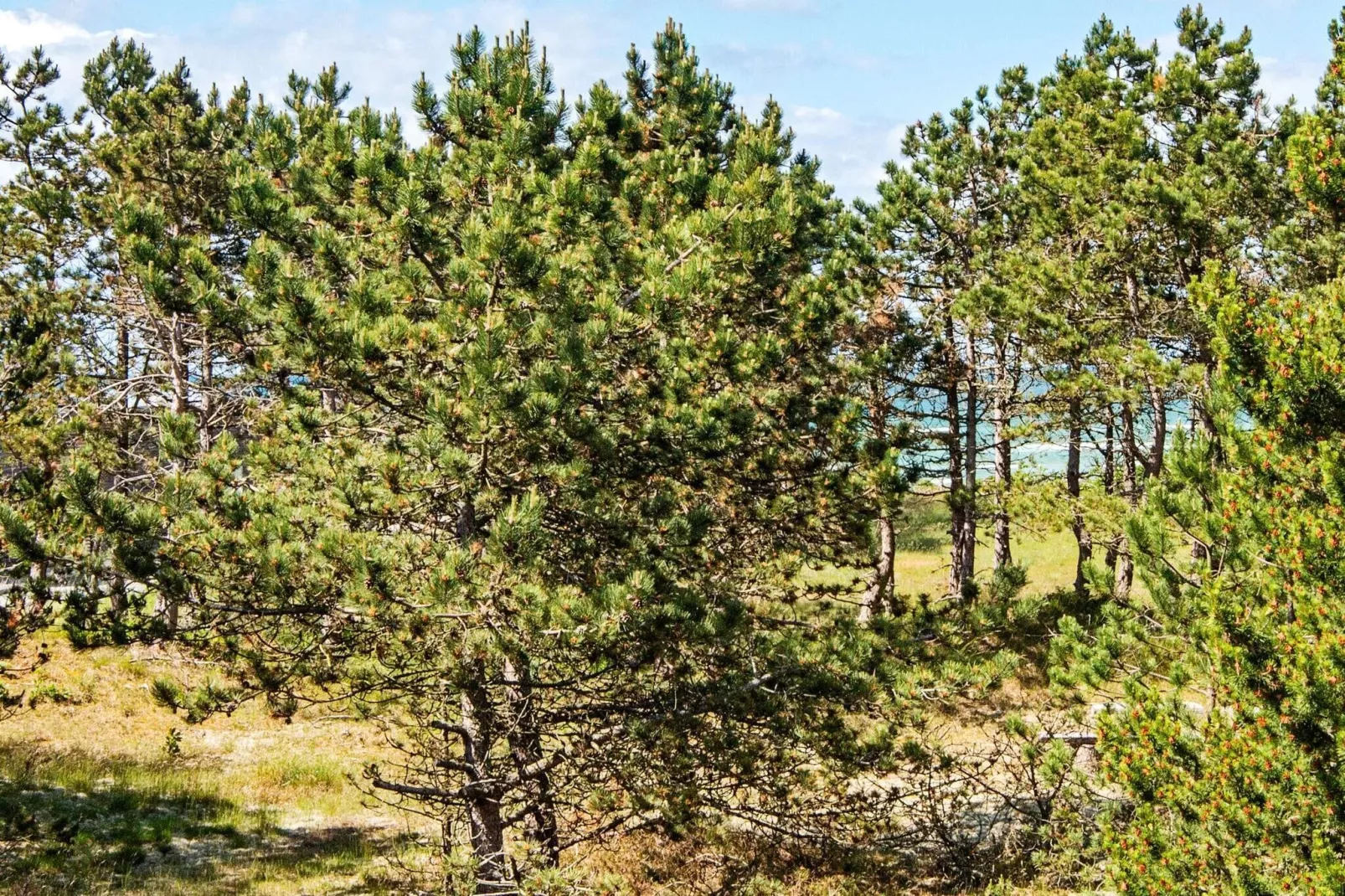 Seaside Serenity in Fjellerup-By Traum