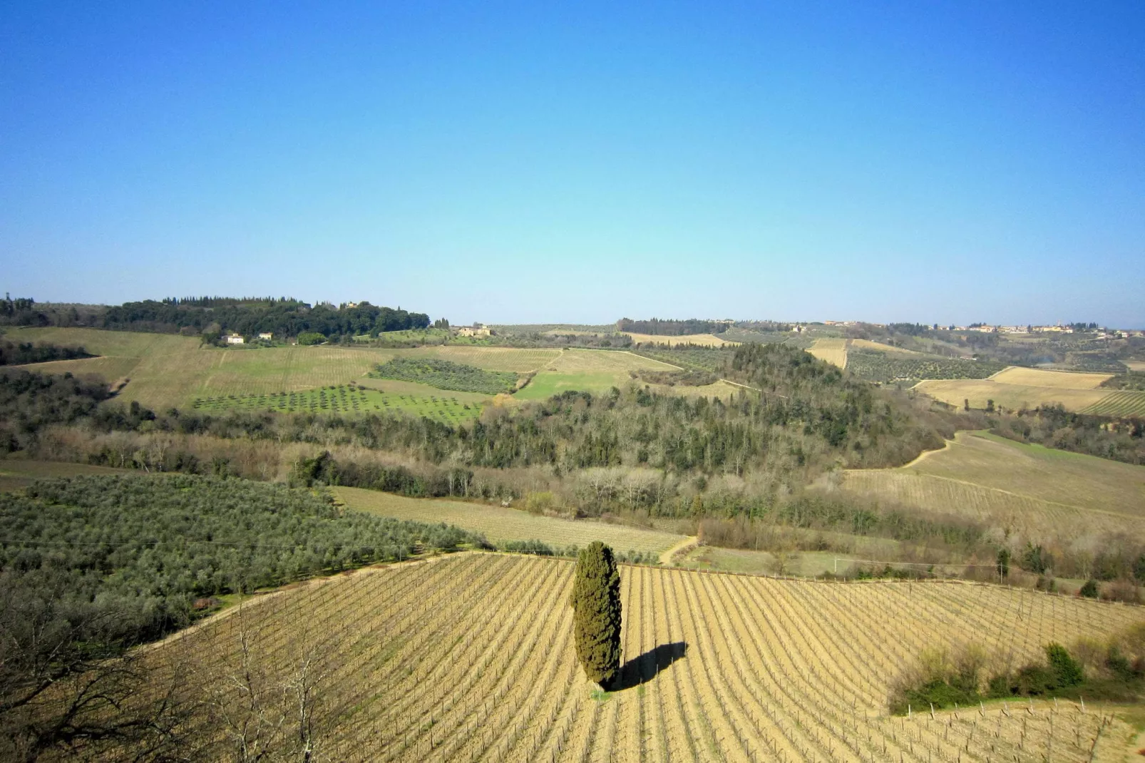 Camino Rosavolta-Areas summer 1km