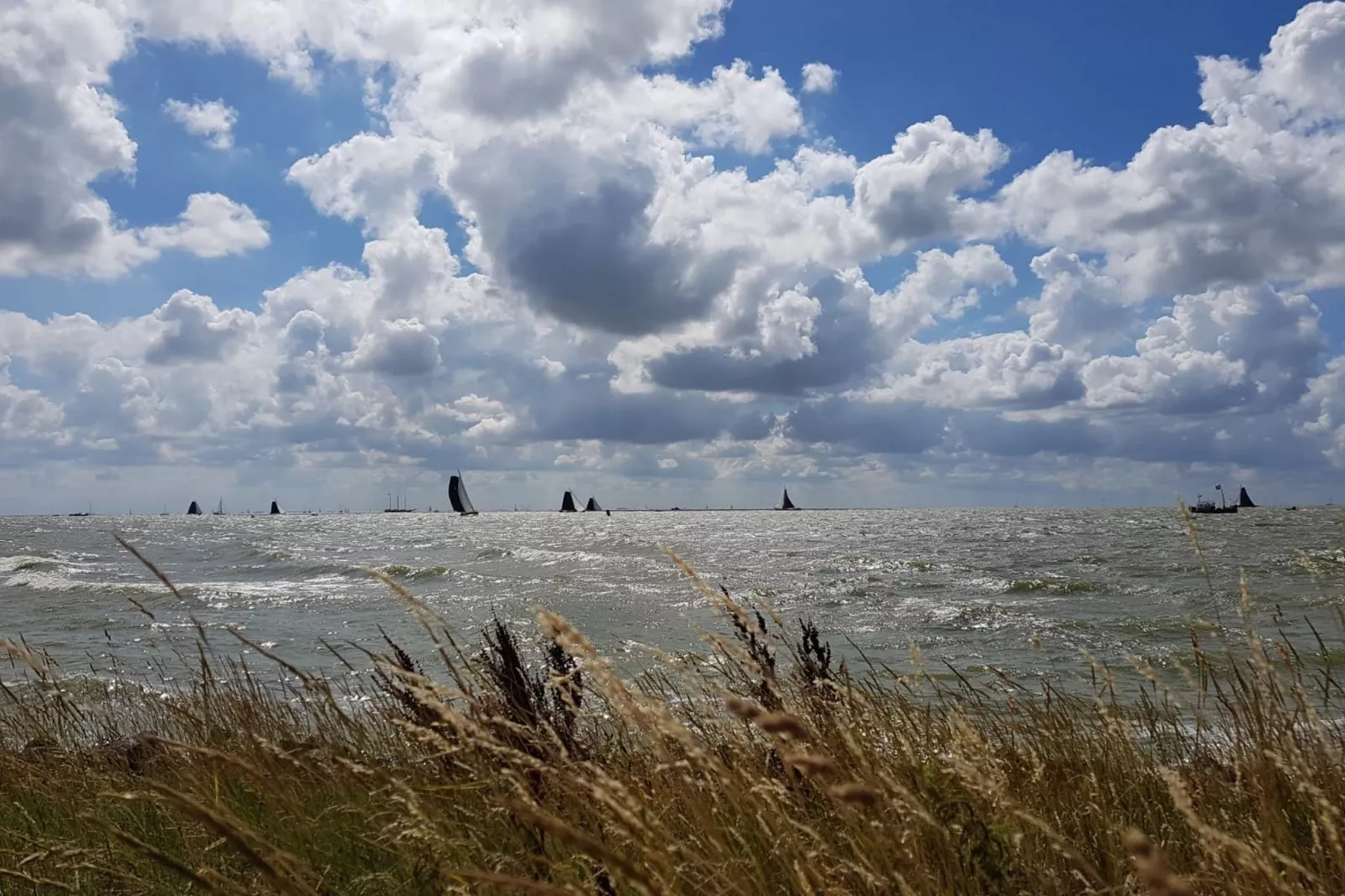 Luna-Gebiete Sommer 1 km