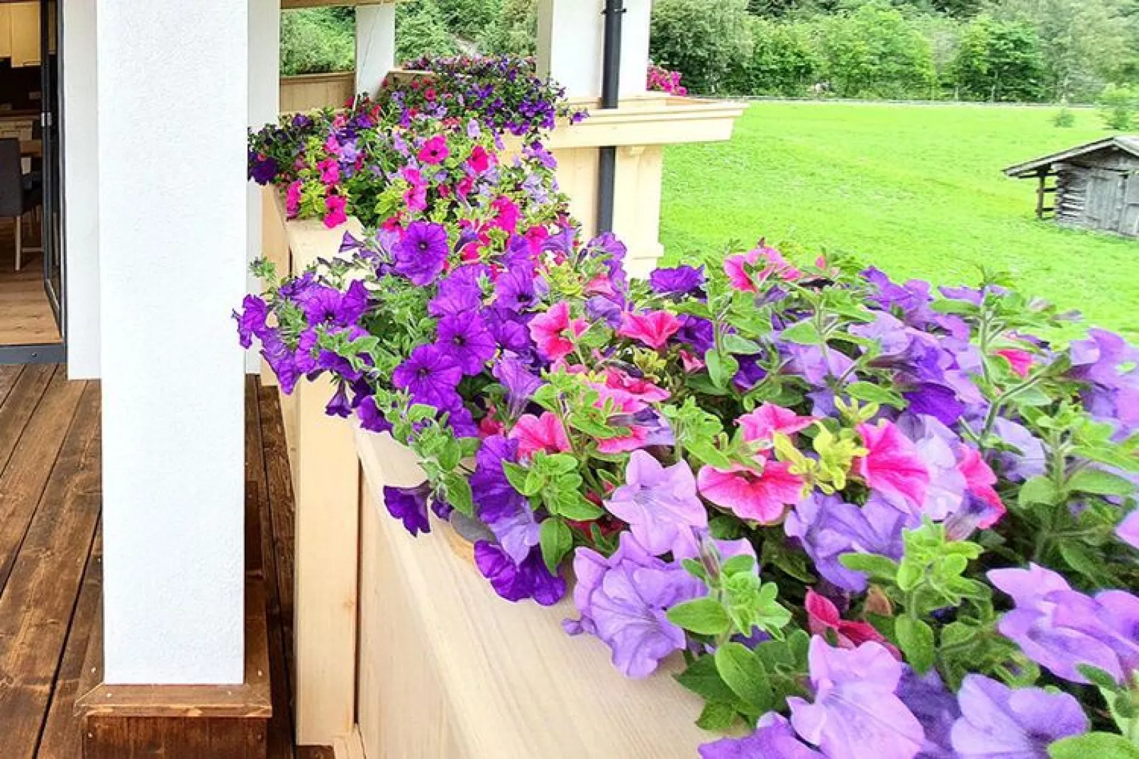Haus Alpenpanorama-Terrace balcony