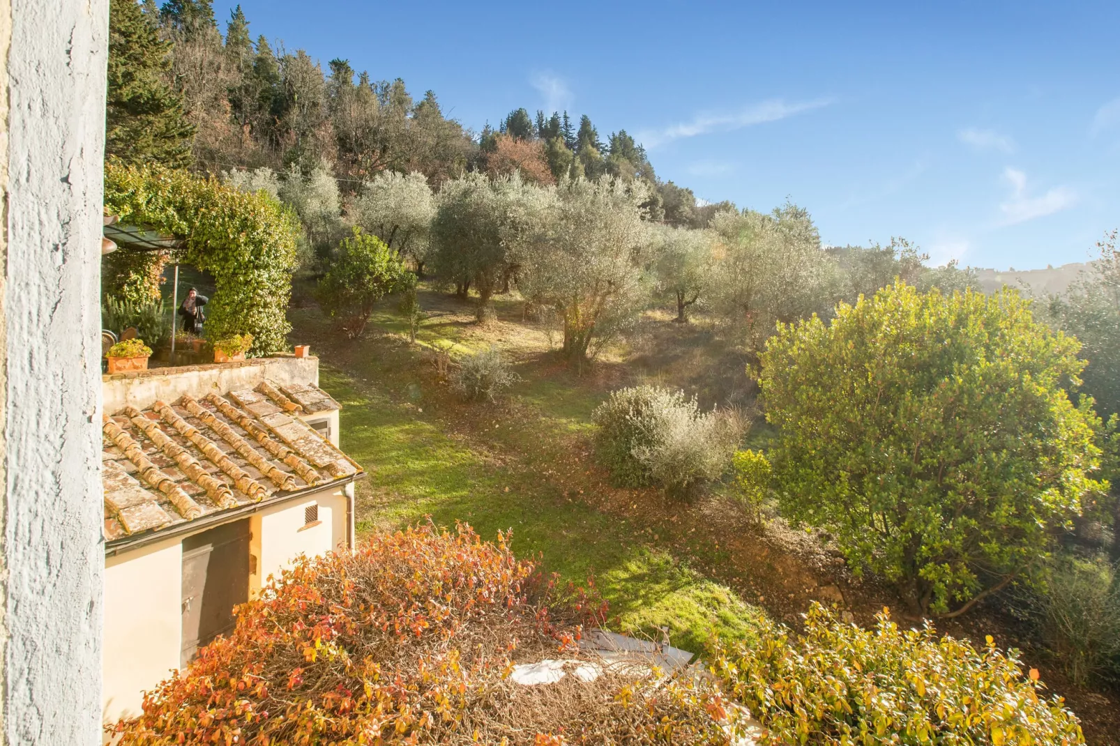 Camino Rosavolta-View summer