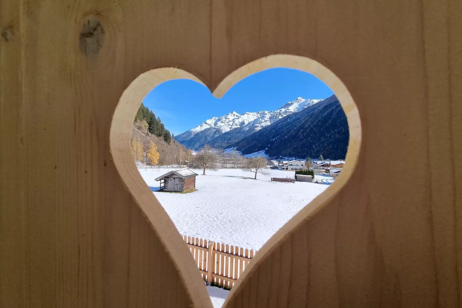 Haus Alpenpanorama-View winter