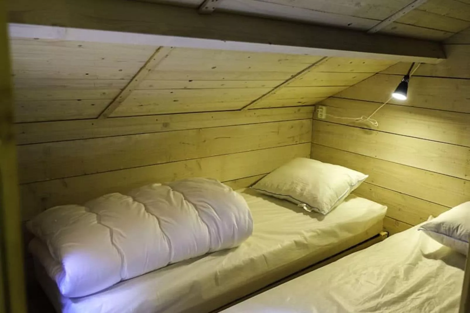 Resort Ruinen 4-Bedroom