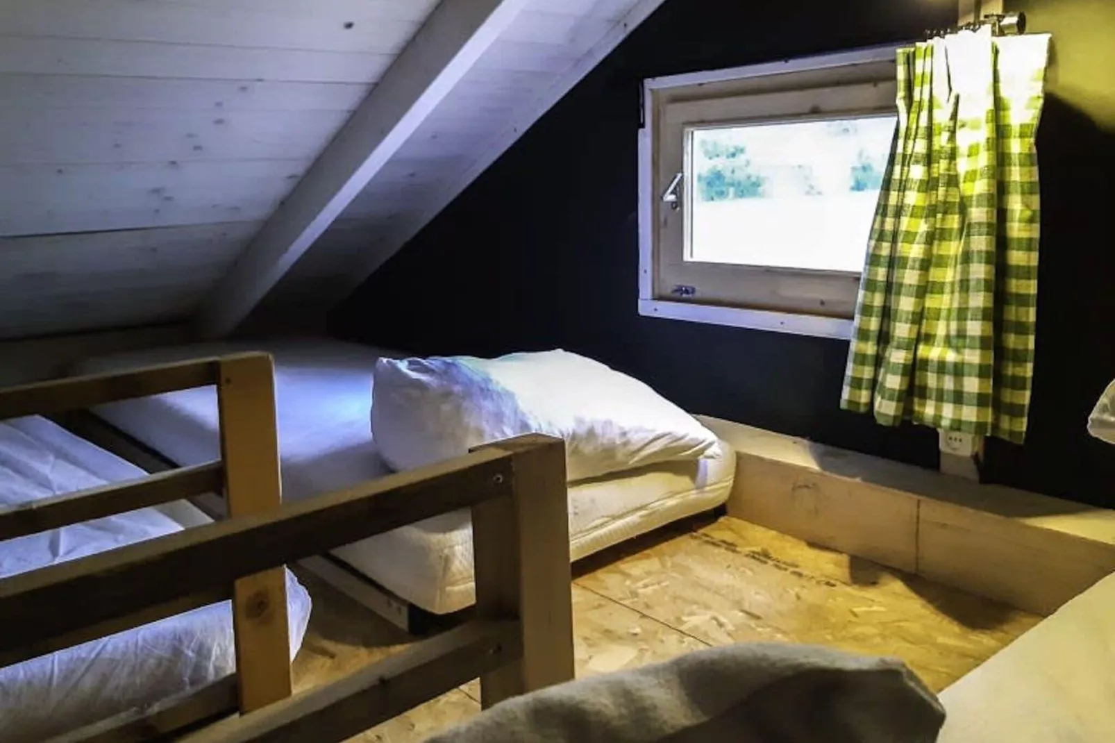 Resort Ruinen 4-Bedroom