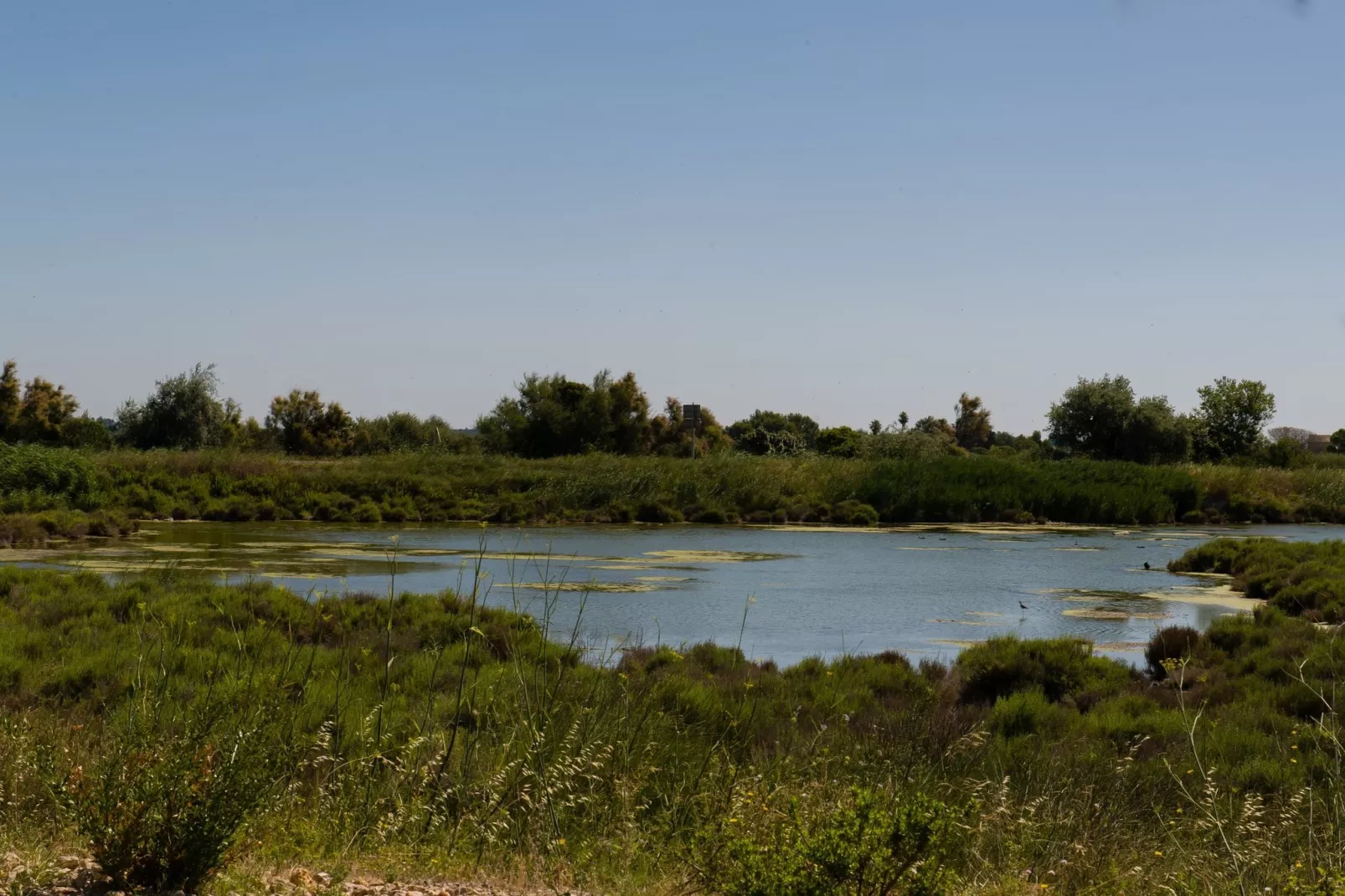 Le Domaine du Golf 9-Areas summer 20km