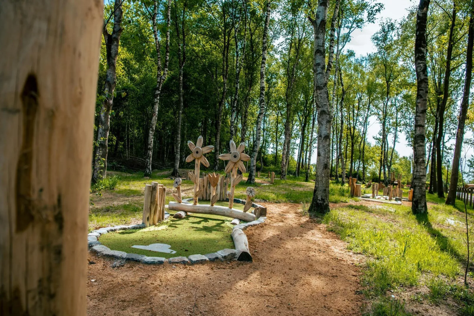 Resort Ruinen 4-Park facilities