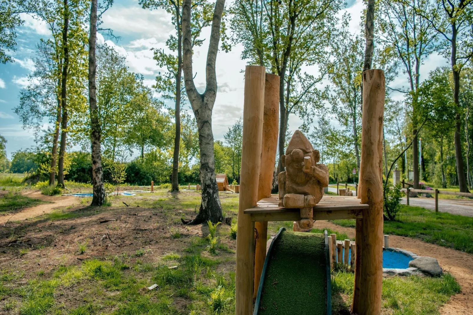 Resort Ruinen 4-Park facilities