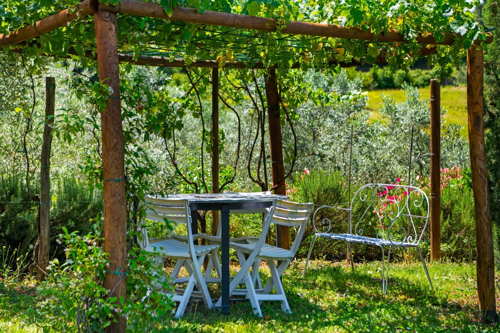 La Romola - Garten Sommer