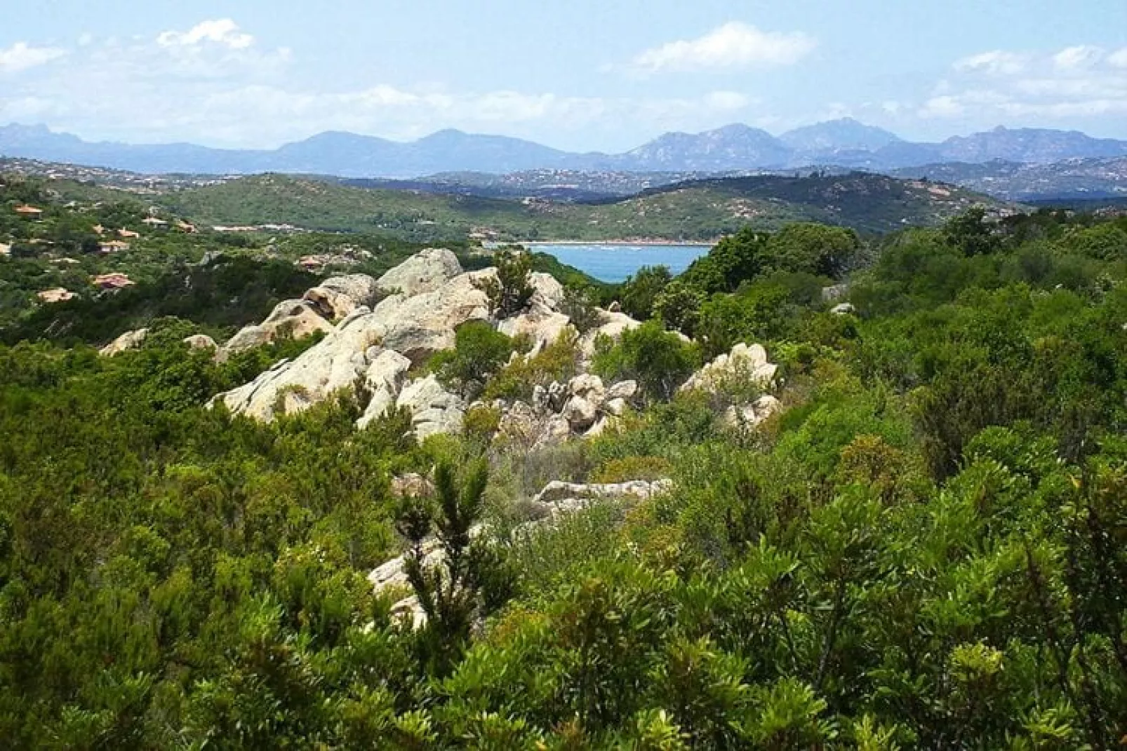 Residence La Tartaruga, Monte Petrosu-trilo 6-trilo 6