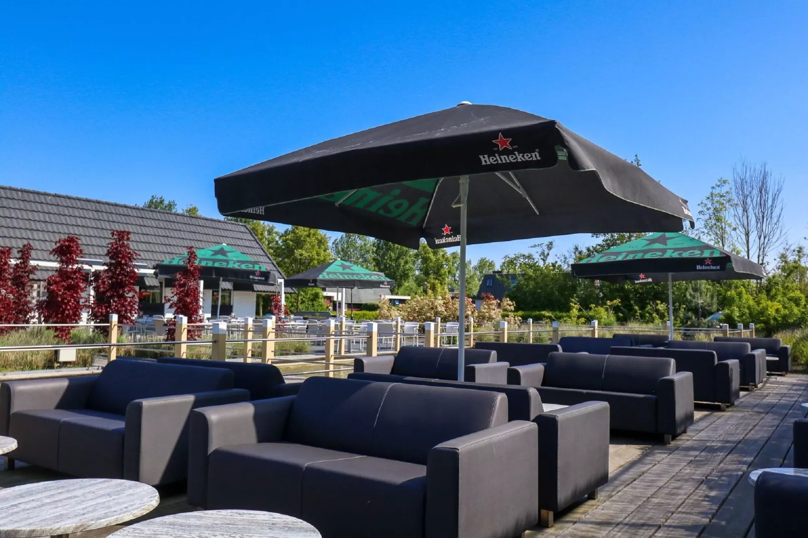 Resort Schoneveld 6-Park facilities
