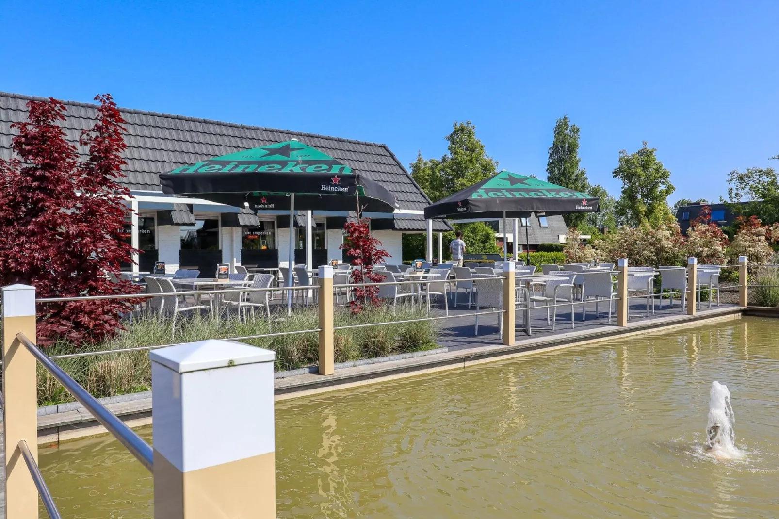 Resort Schoneveld 6-Park facilities