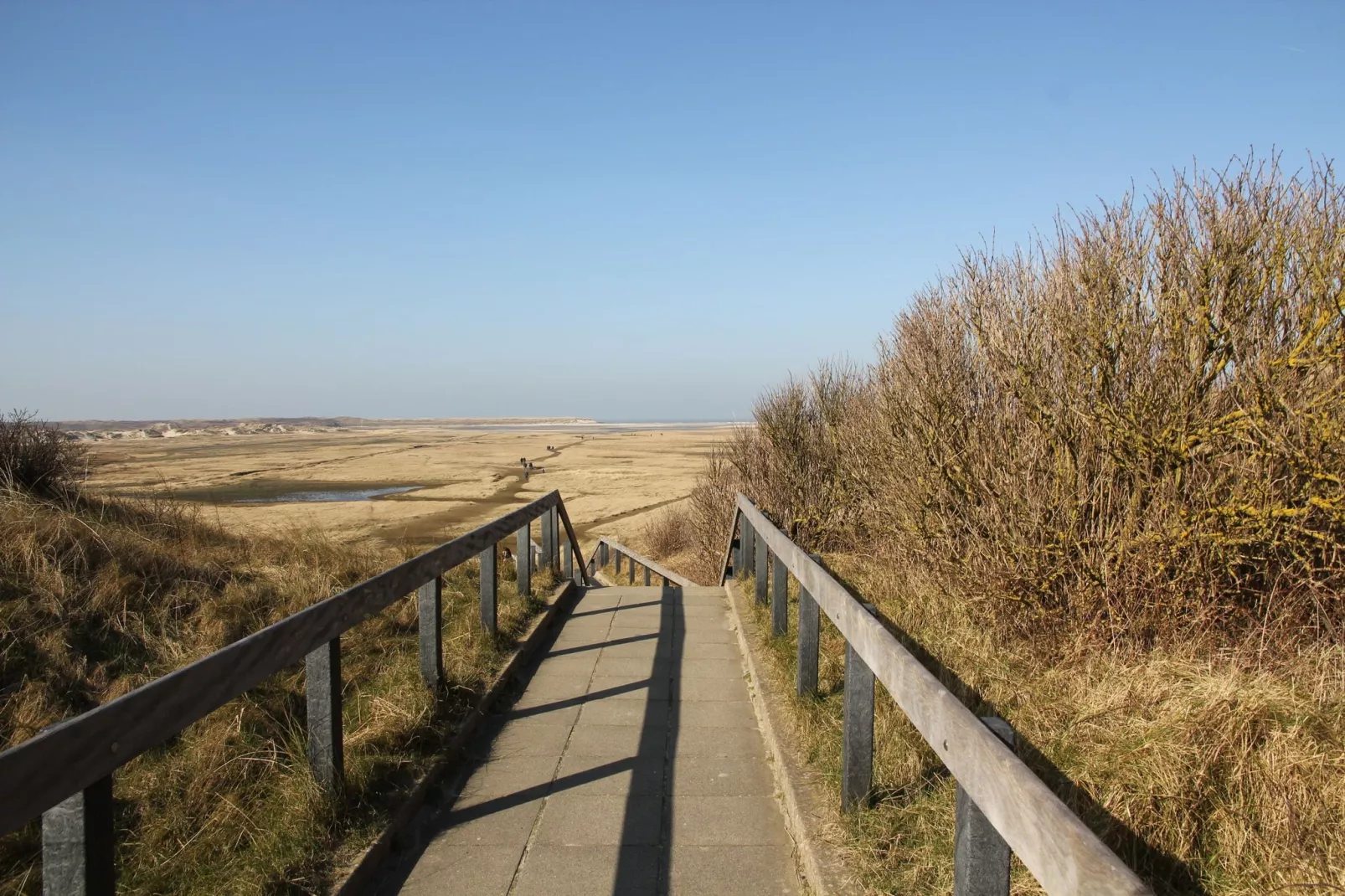 Villa Hoogelandt 70-Areas summer 5km