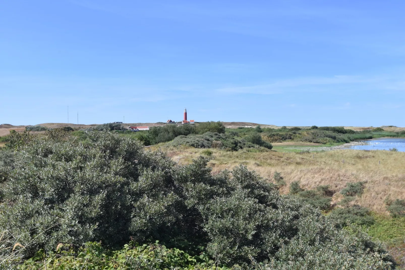 Villa Hoogelandt 70-Areas summer 20km