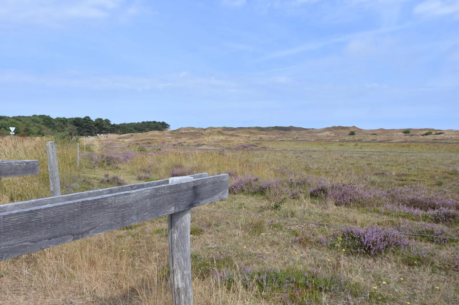 Villa Hoogelandt 70-Areas summer 20km